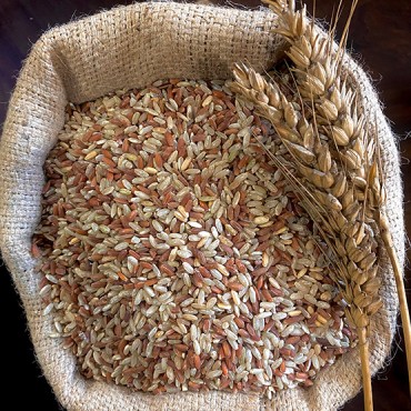 Jetho budo Brown Ric...