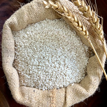 Jetho Budo White Ric...