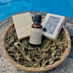 Mint Soap Mint Soap...